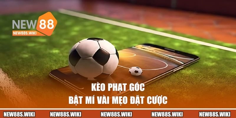 Bật mí vài mẹo đặt cược