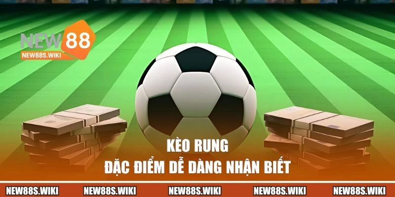Đặc điểm dễ dàng nhận biết