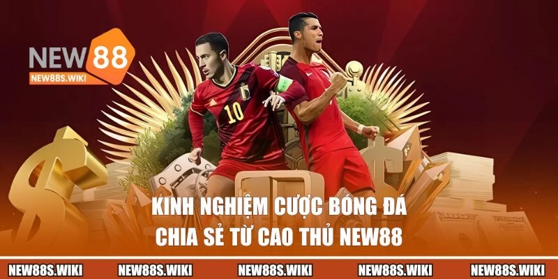 Kinh nghiệm cược từ cao thủ