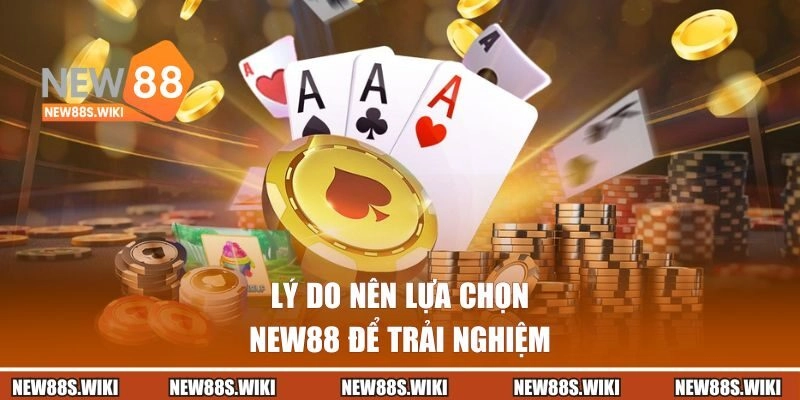 Lý do nên lựa chọn New88 để trải nghiệm