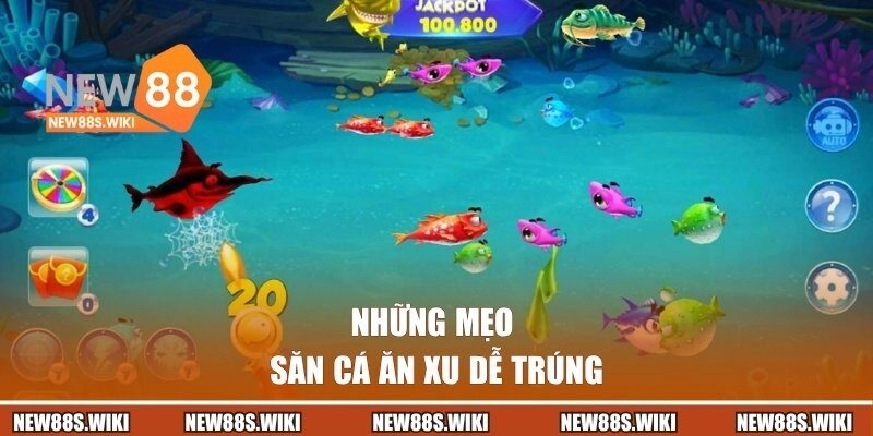 Những mẹo săn cá ăn xu dễ trúng
