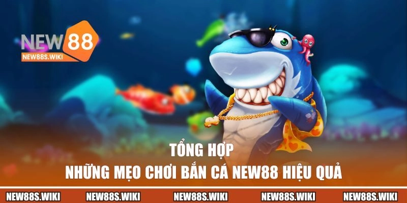 Tổng hợp những mẹo săn cá NEW88 hiệu quả nhất