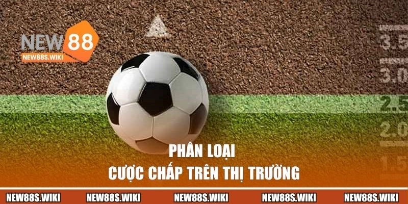 Phân loại cược chấp trên thị trường